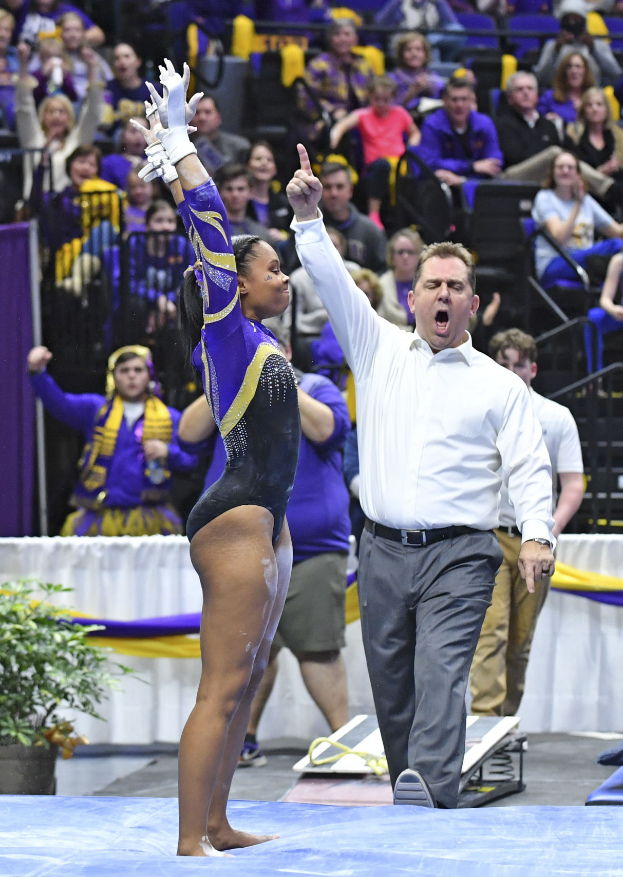 lsucalgymnastics.010519_HS_1000